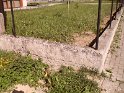 SAM_1066 SAM_1066